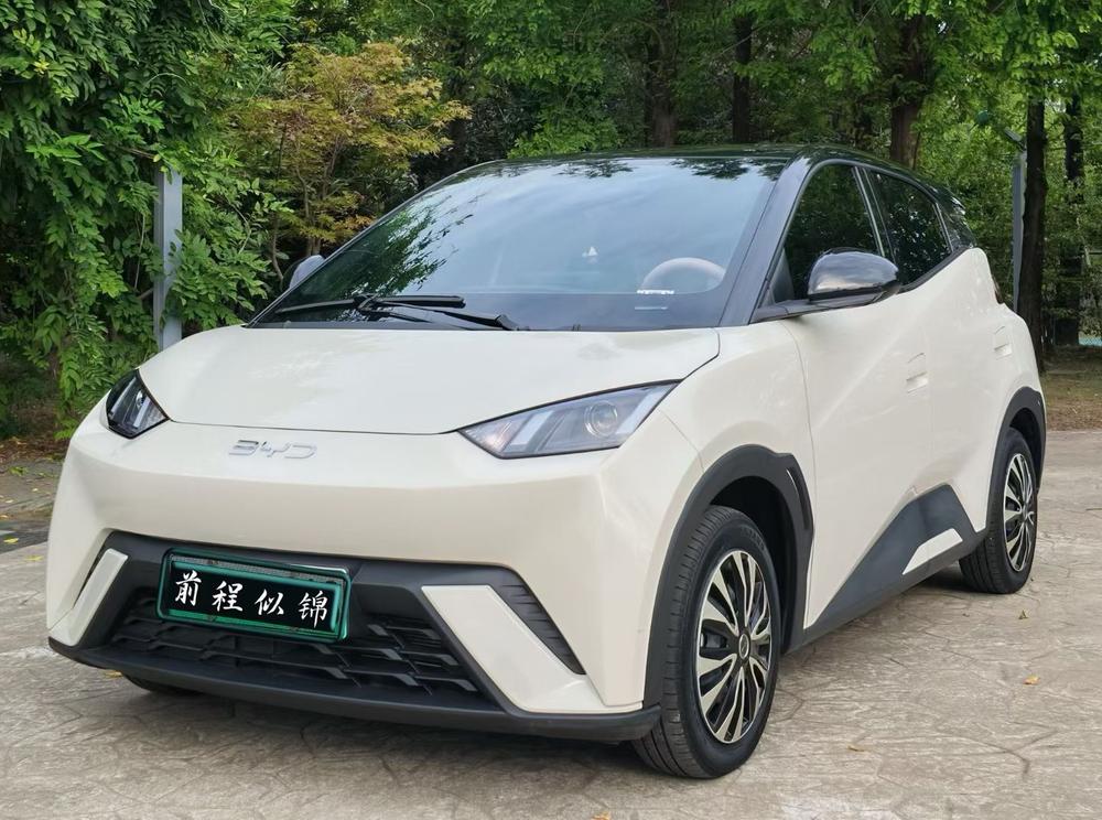 BYD Seagull