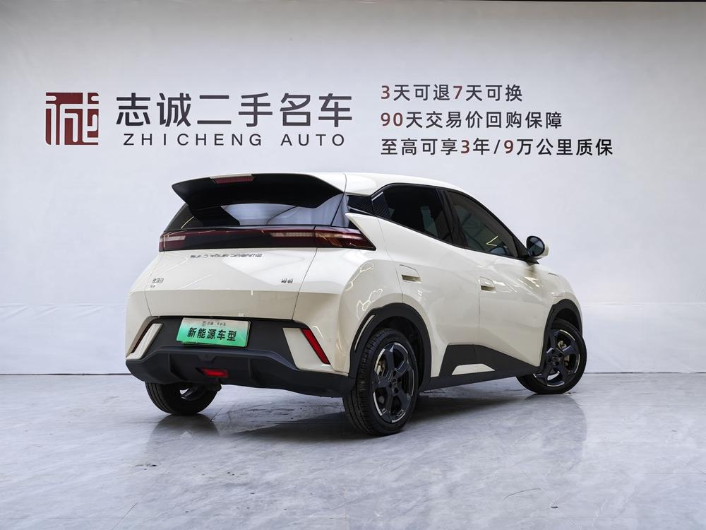 BYD Seagull