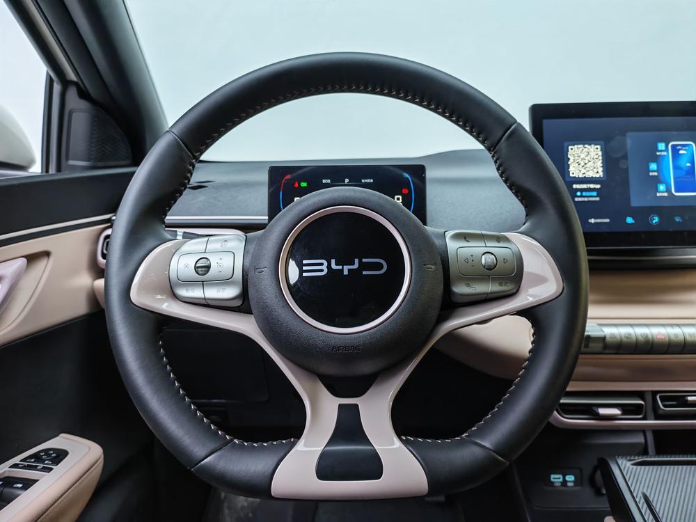 BYD Seagull
