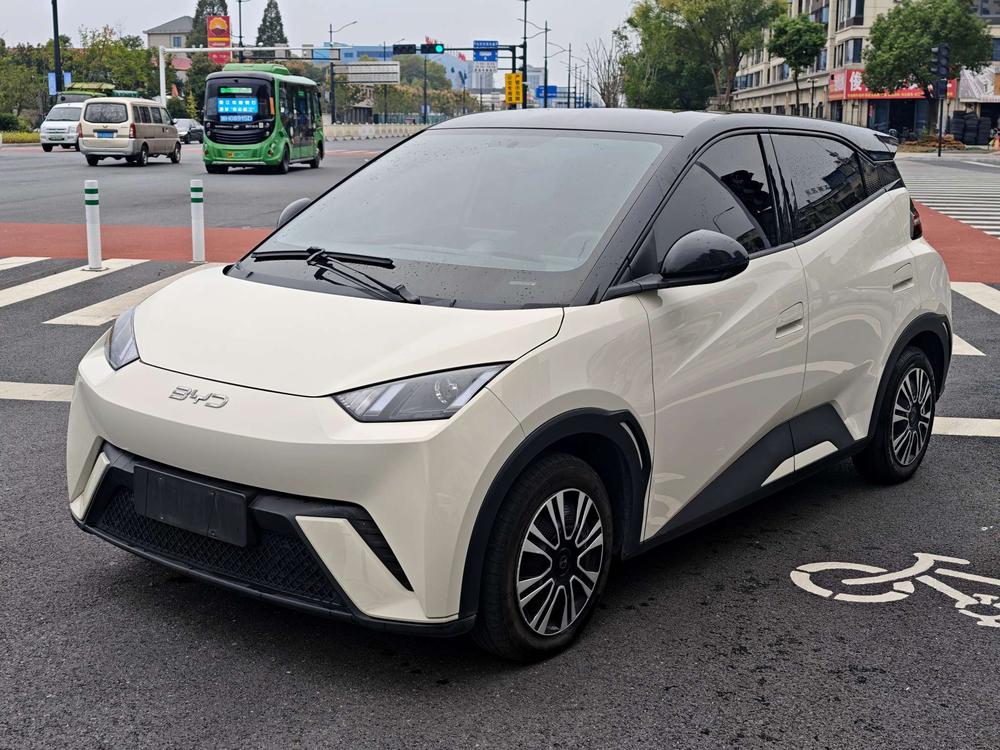 BYD Seagull