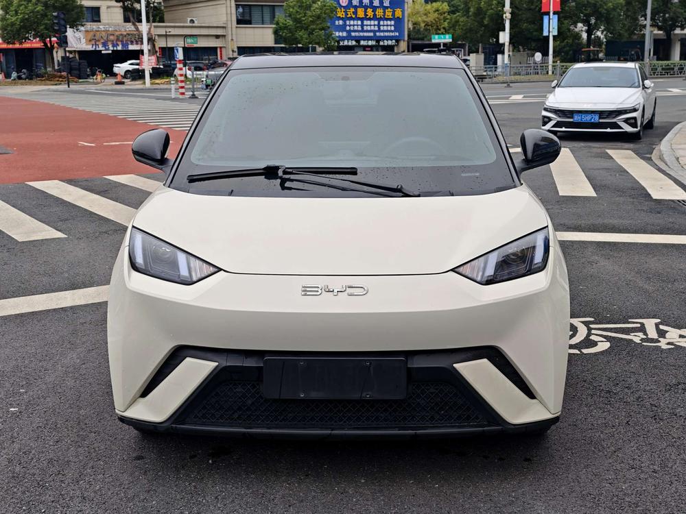 BYD Seagull