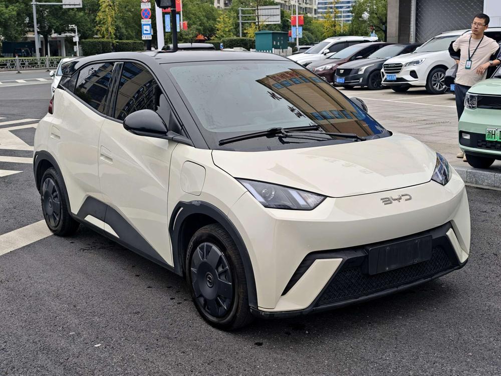 BYD Seagull