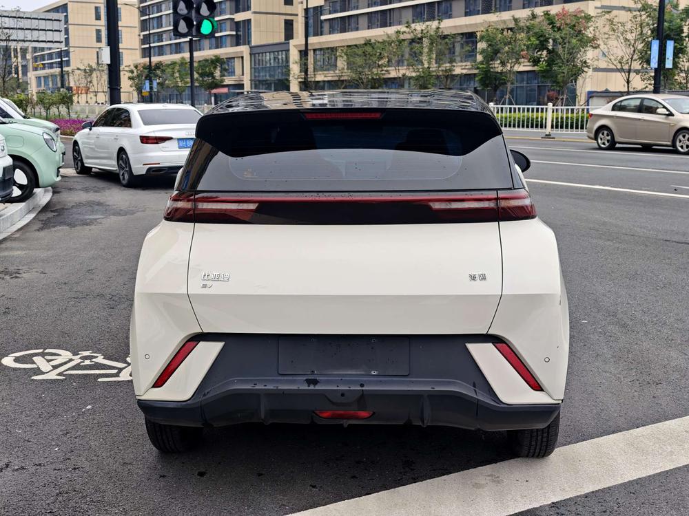 BYD Seagull