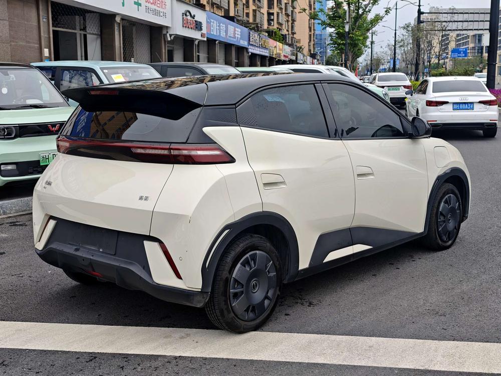 BYD Seagull