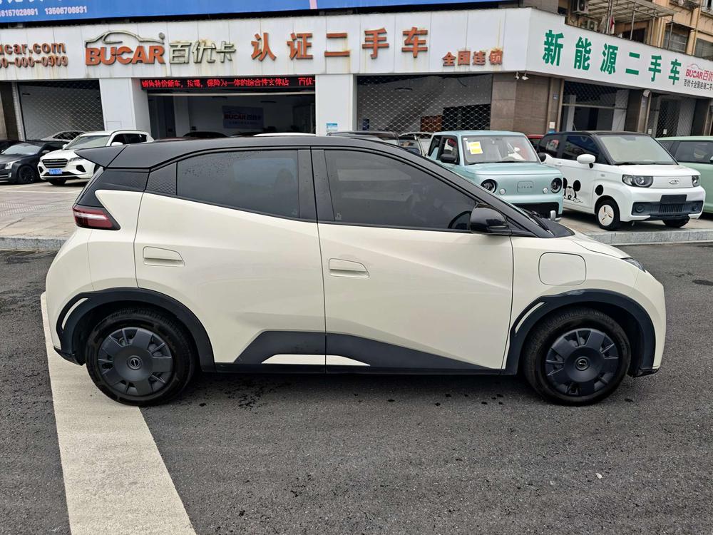 BYD Seagull