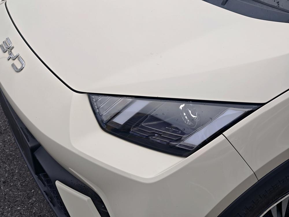 BYD Seagull