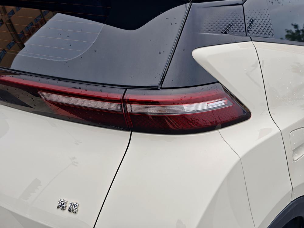 BYD Seagull