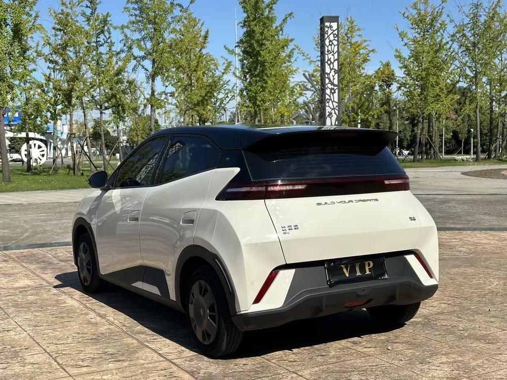 BYD Seagull