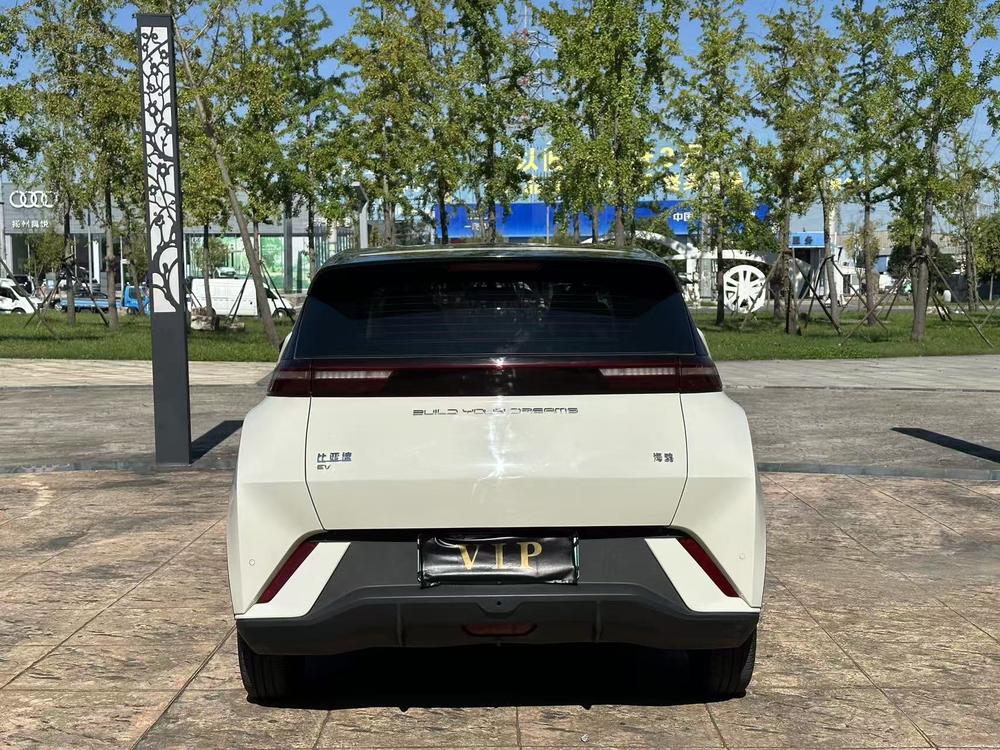 BYD Seagull