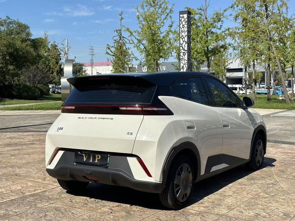 BYD Seagull