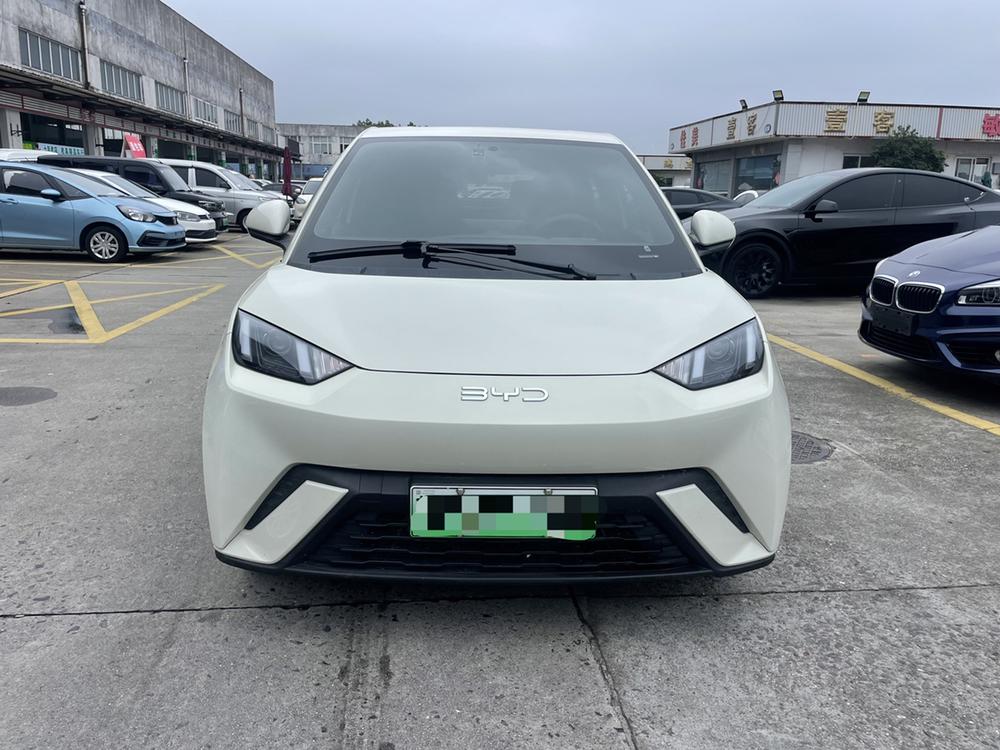 BYD Seagull