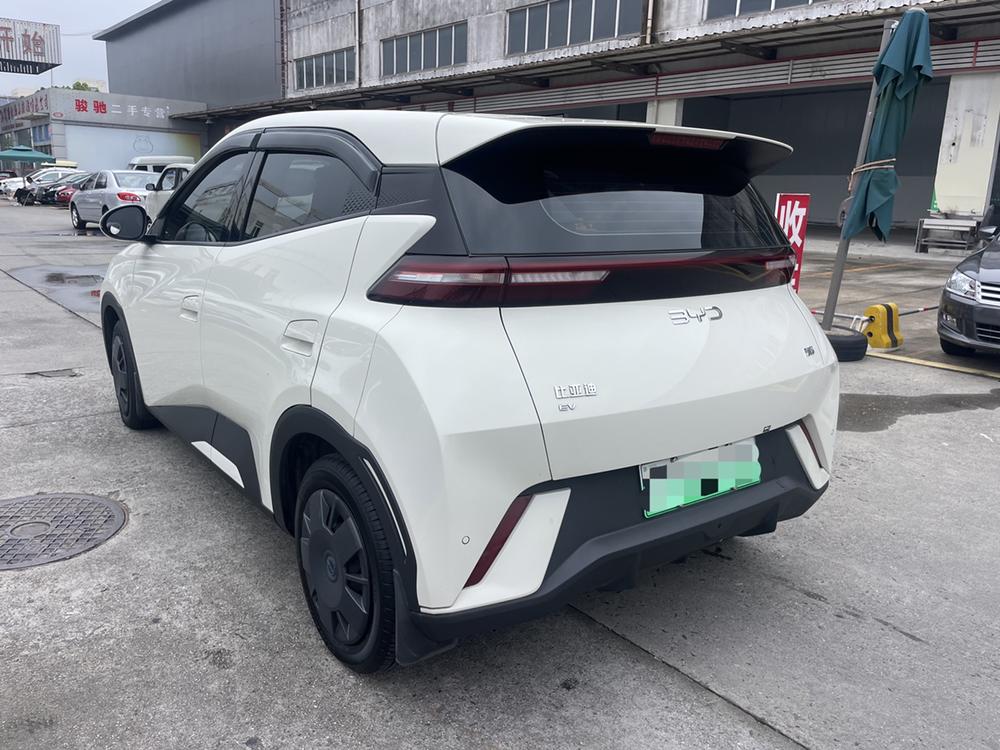 BYD Seagull