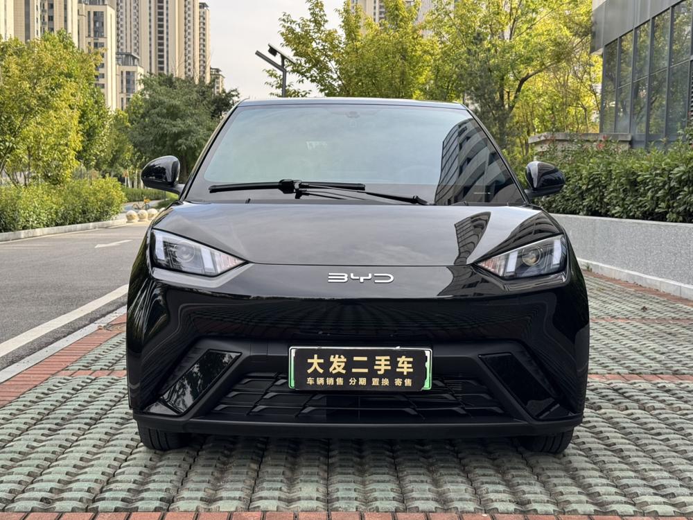 BYD Seagull