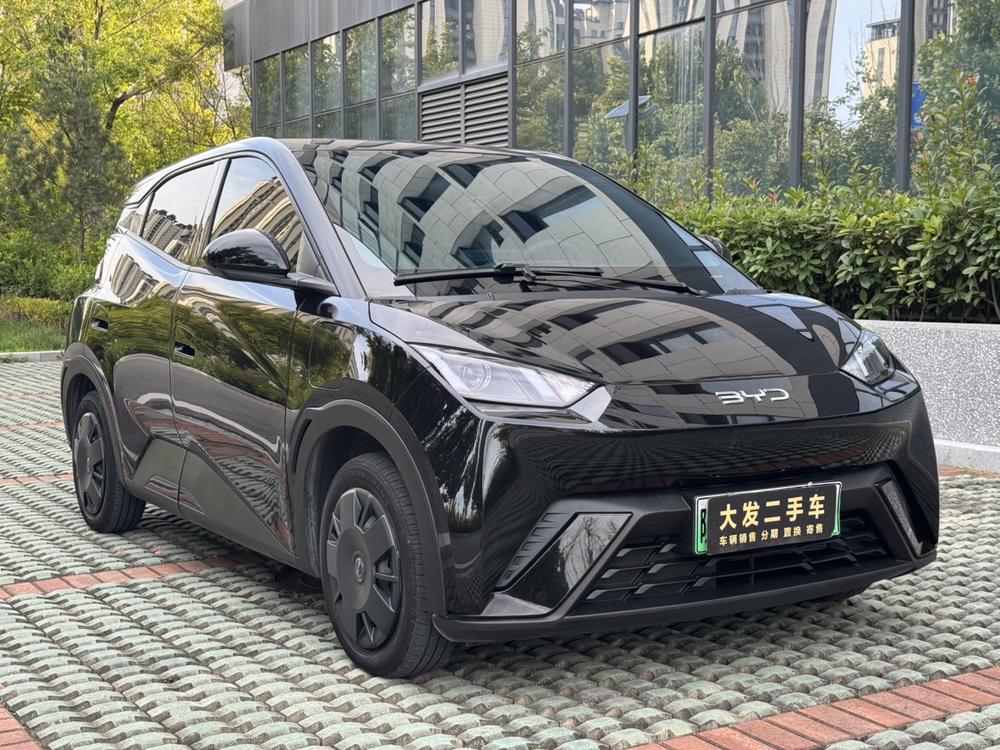 BYD Seagull