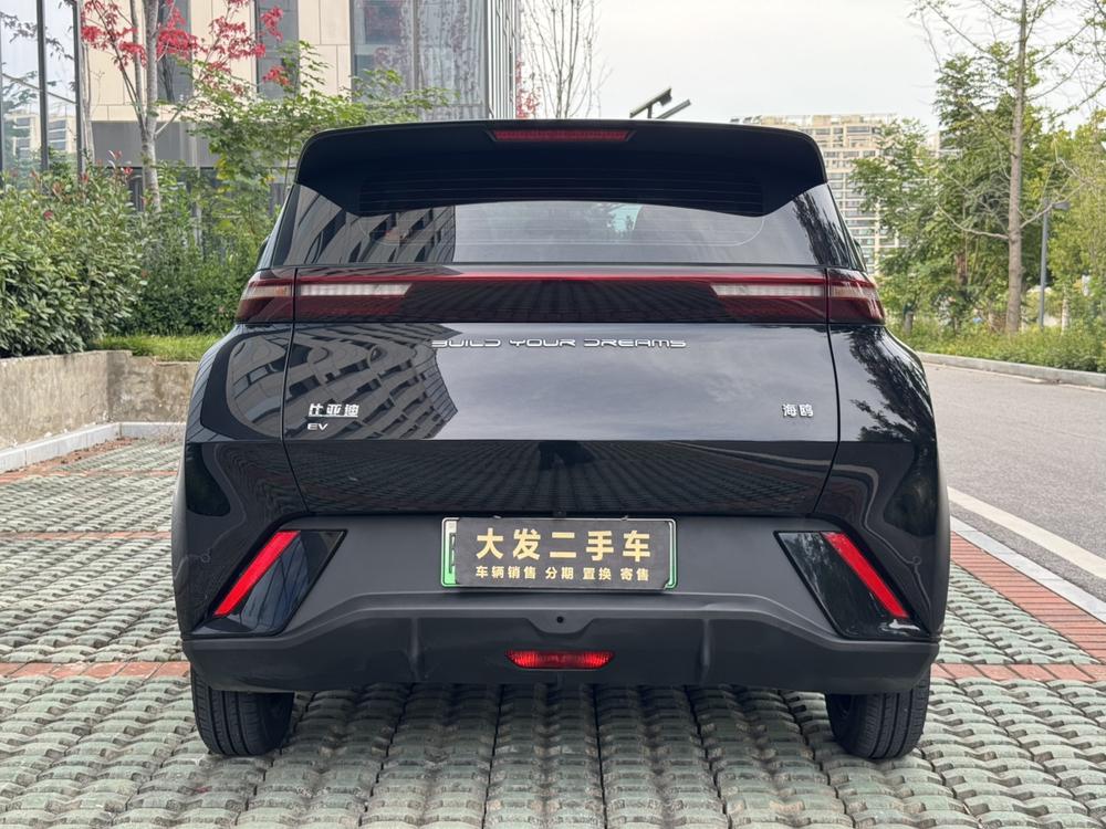 BYD Seagull