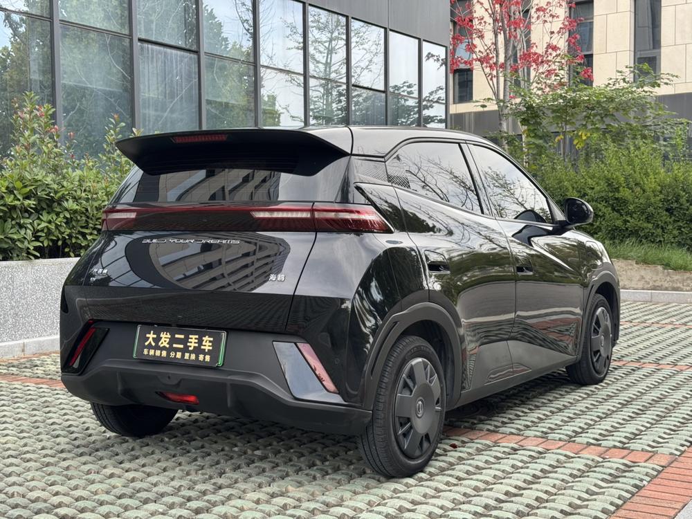 BYD Seagull
