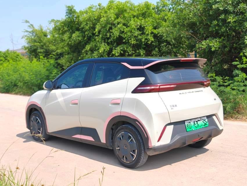 BYD Seagull