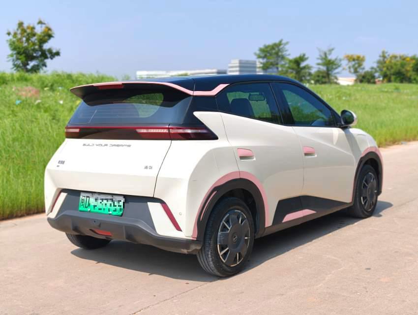 BYD Seagull