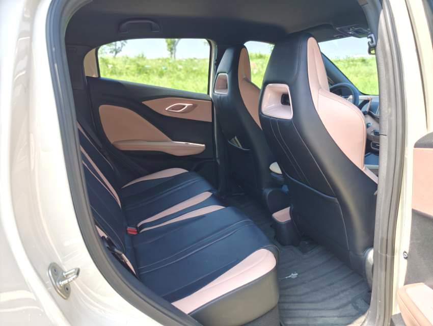 BYD Seagull