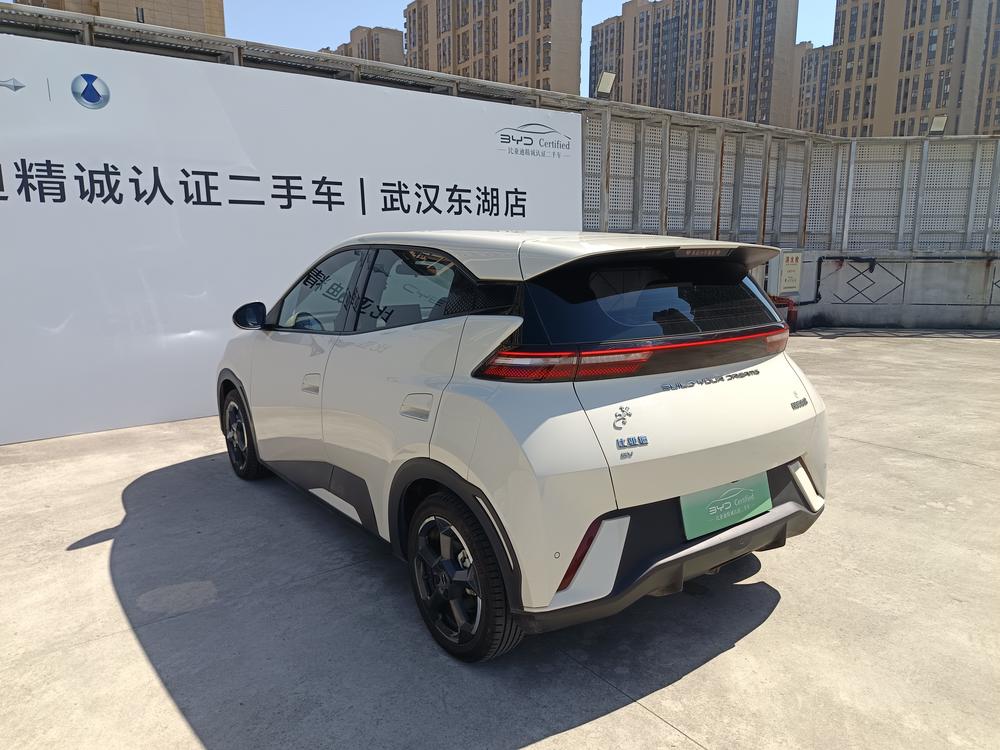 BYD Seagull