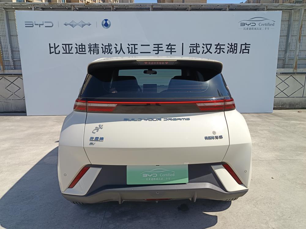 BYD Seagull