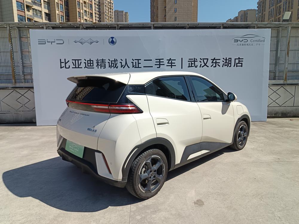 BYD Seagull