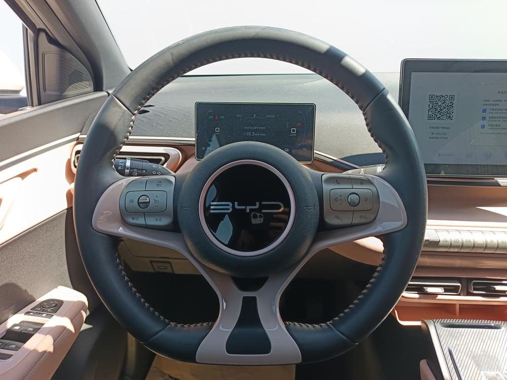 BYD Seagull