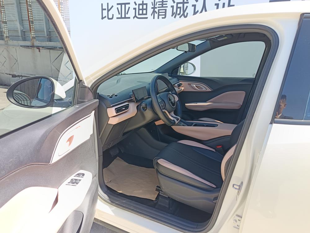 BYD Seagull