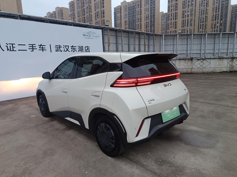 BYD Seagull