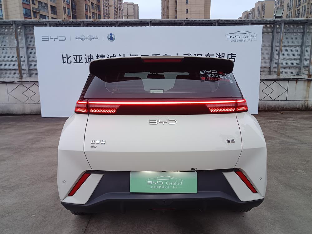 BYD Seagull