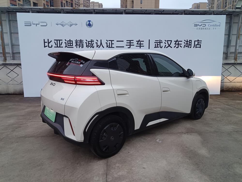 BYD Seagull