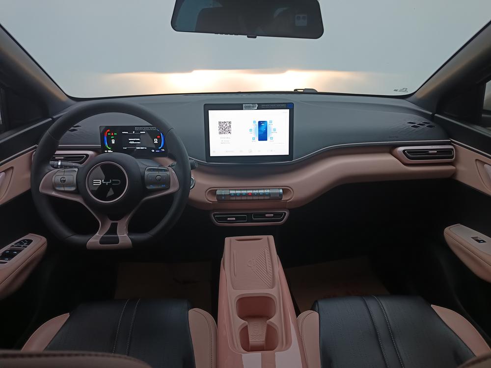 BYD Seagull