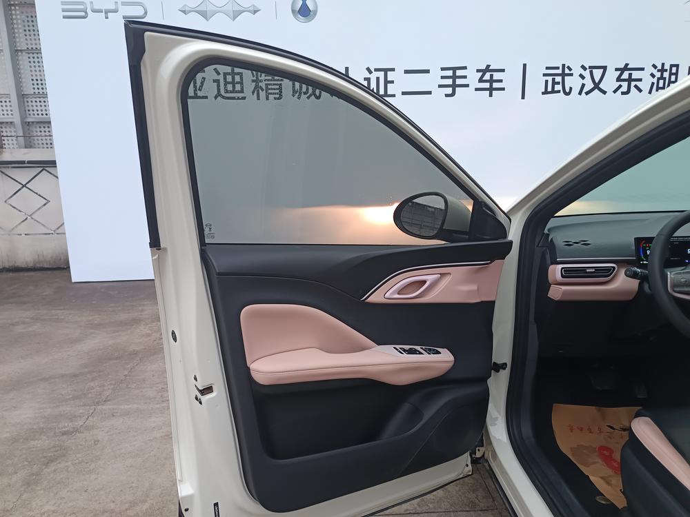 BYD Seagull