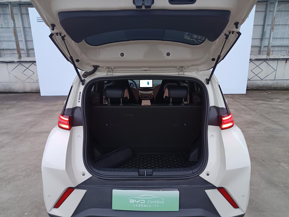BYD Seagull