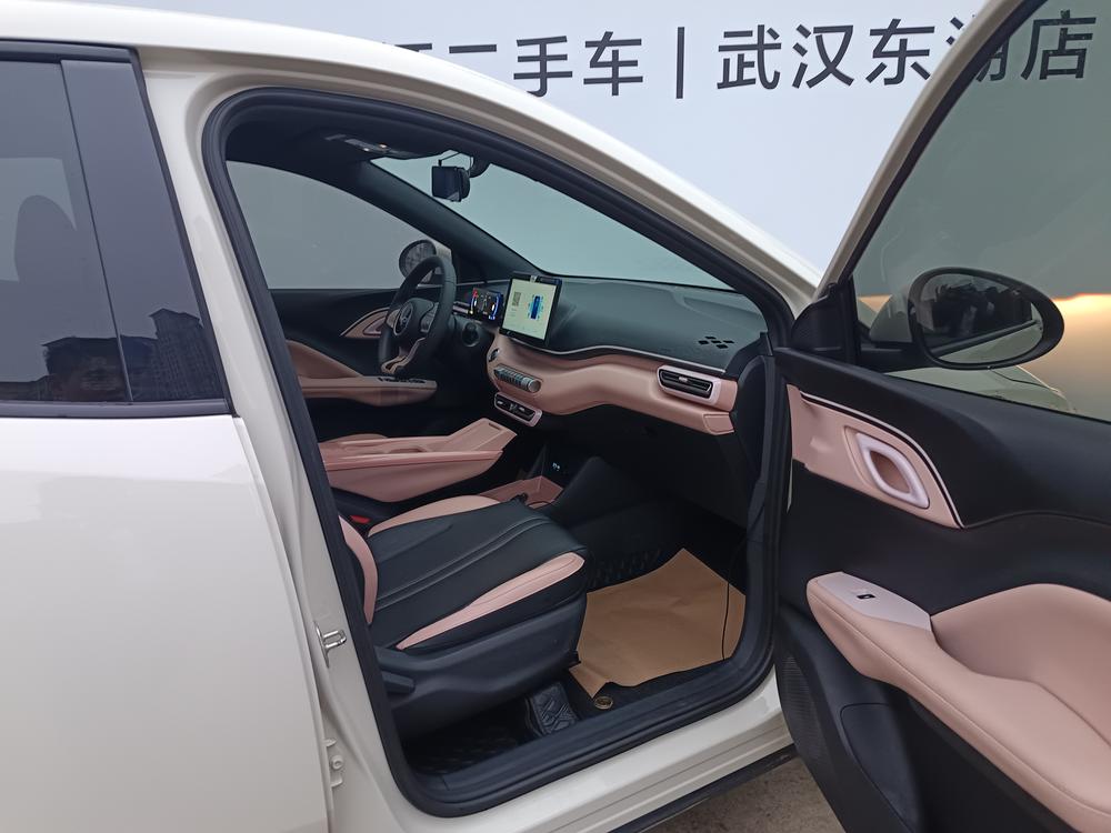 BYD Seagull