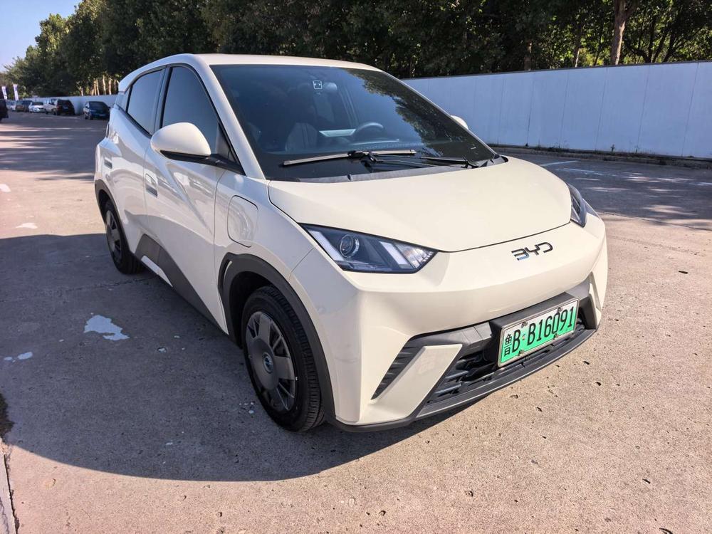 BYD Seagull
