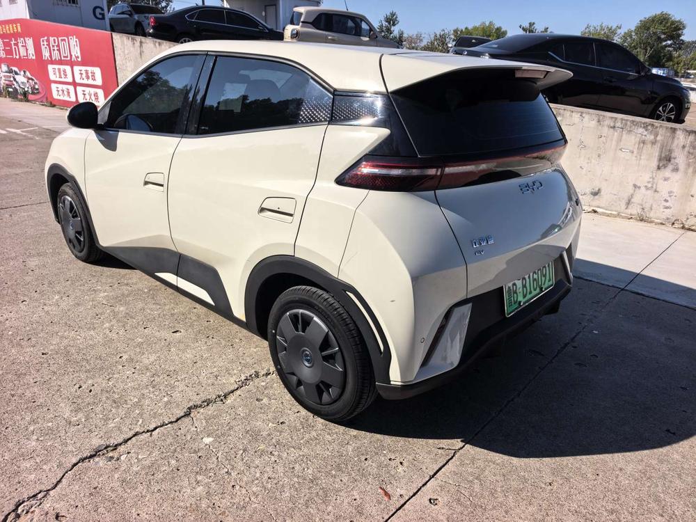 BYD Seagull