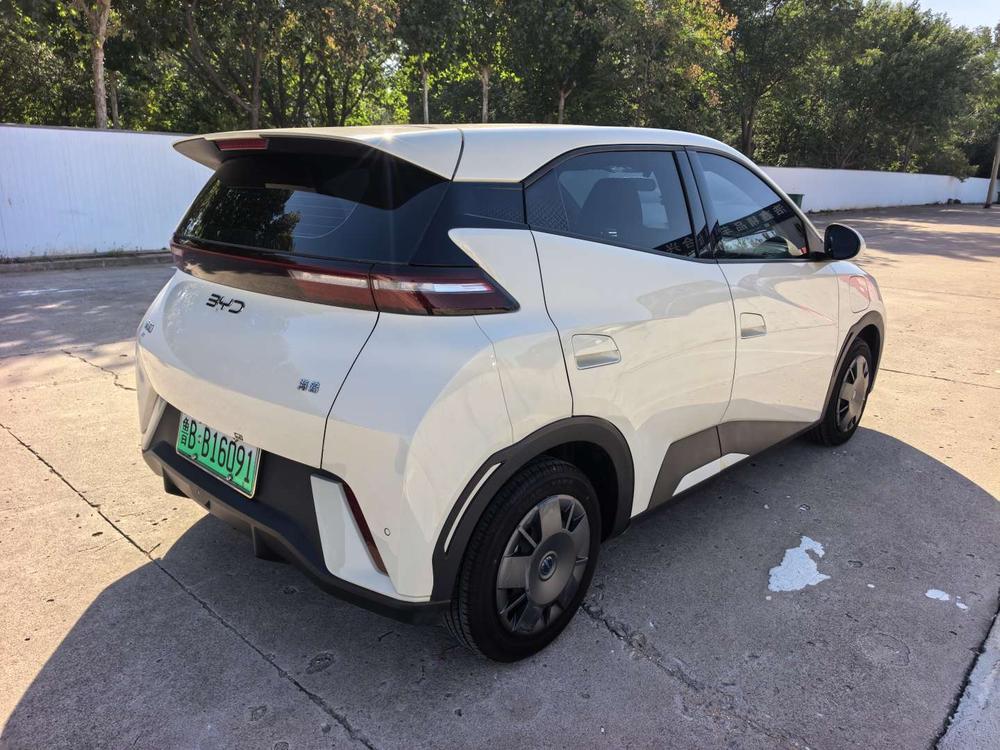BYD Seagull