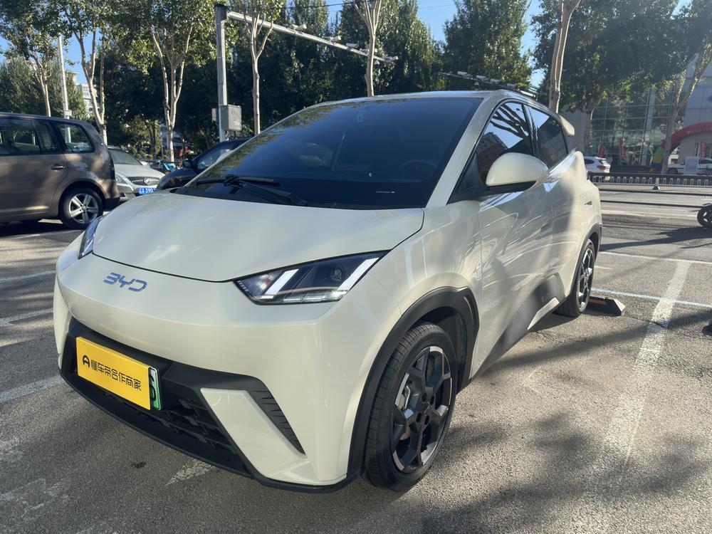 BYD Seagull