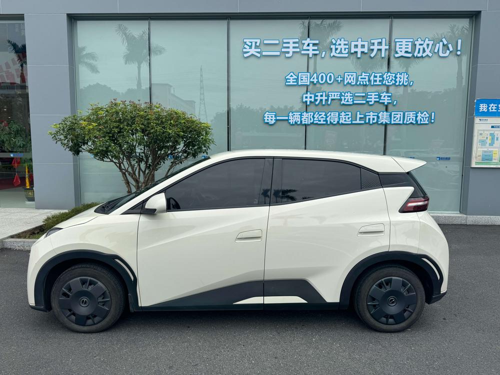 BYD Seagull