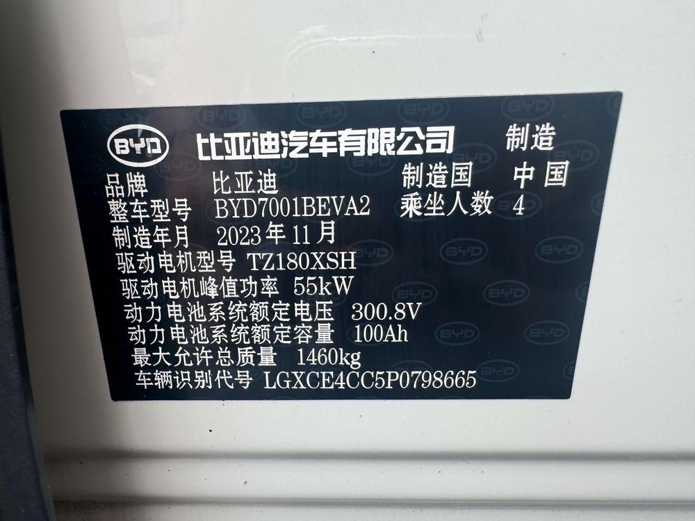 BYD Seagull
