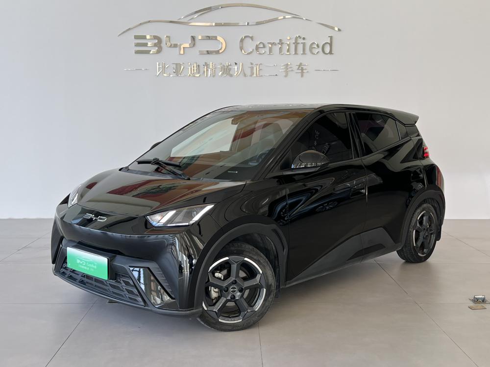 BYD Seagull