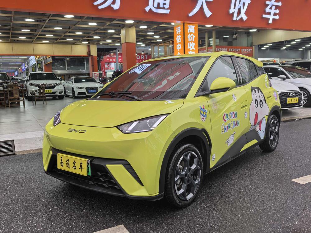 BYD Seagull