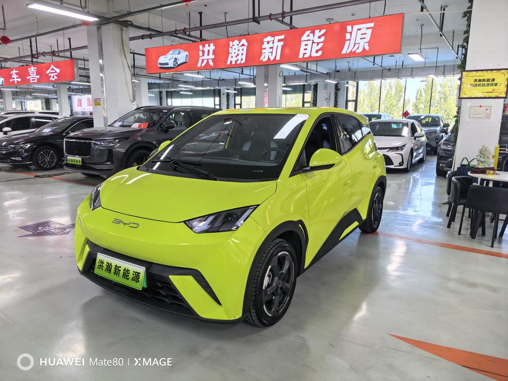 BYD Seagull