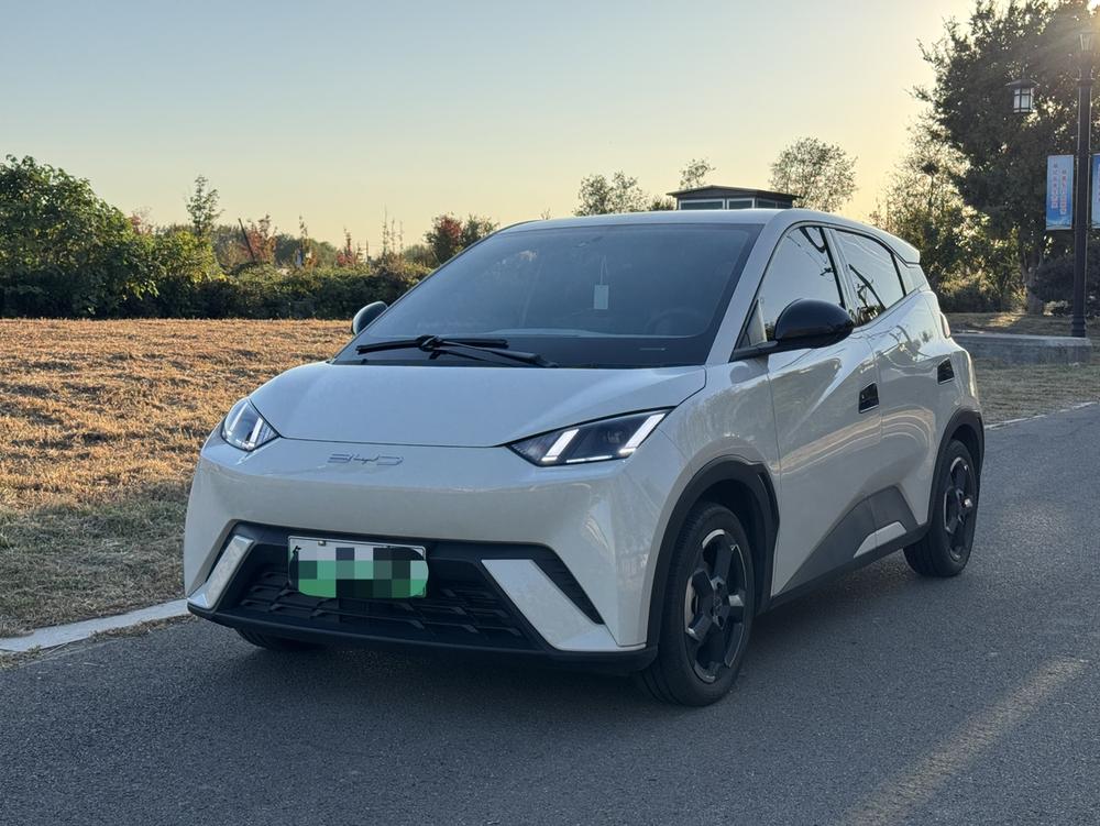 BYD Seagull