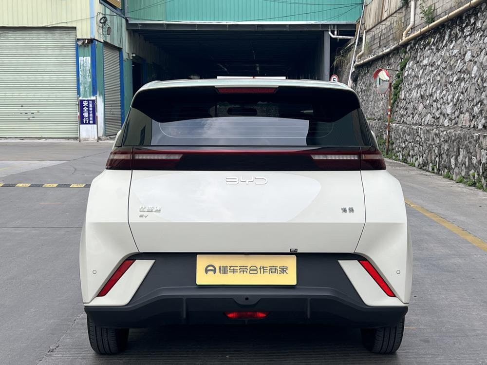 BYD Seagull