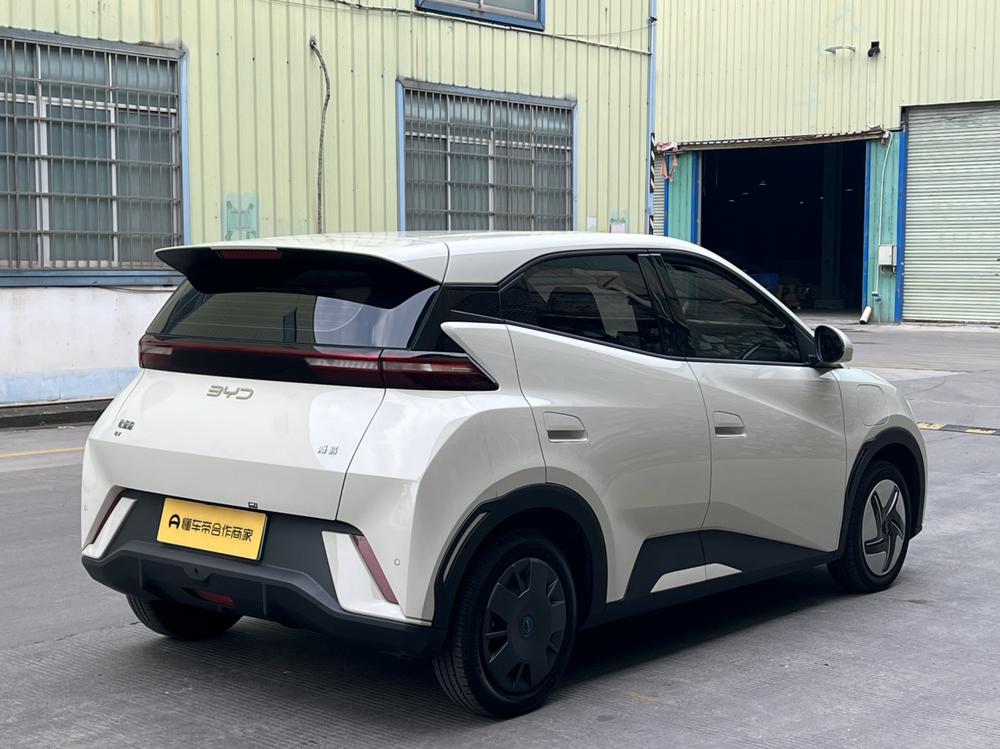BYD Seagull