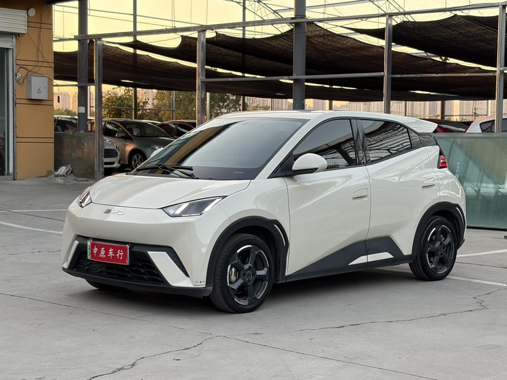 BYD Seagull
