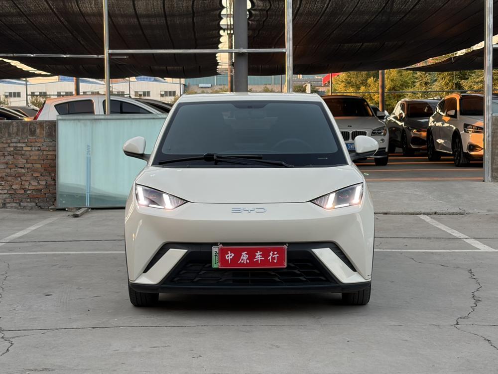 BYD Seagull