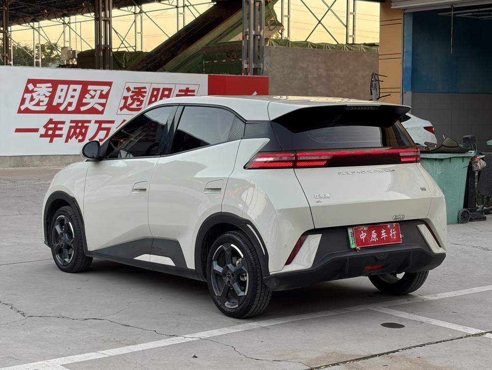 BYD Seagull